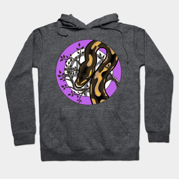 Royal Python Normal morph Hoodie by CelticDragoness